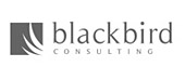 Blackbird Consulting