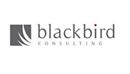 Blackbird Consulting