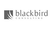 Blackbird Consulting