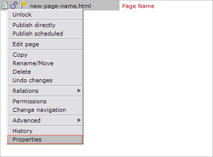 Editing properties of the renamed page